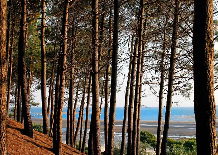 Centre: Beau T2 53m² Avec Terrasse, Parking, Ascenseur, Proche Et Commerces - Fr-1-420-93 * アルカション