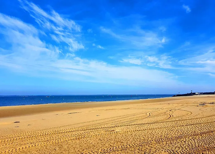 Centre: Beau T2 53m² Avec Terrasse, Parking, Ascenseur, Proche Et Commerces - Fr-1-420-93 アルカション